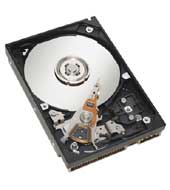 40GB ATA/100 7,200 rpm Drive (1")